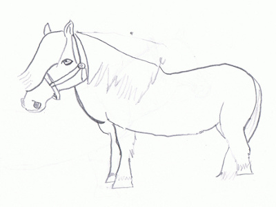 Shetland Pony  