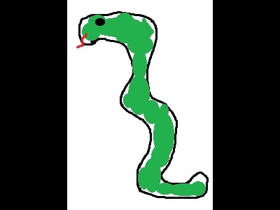Snake  