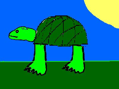 Turtle  