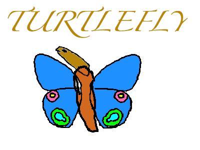 Turtlefly