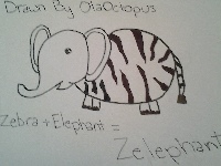 Zelephant image
