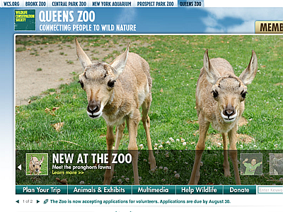 Queens Zoo Wildlife Center